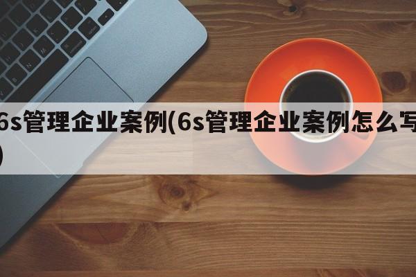 6s管理企业案例(6s管理企业案例怎么写)